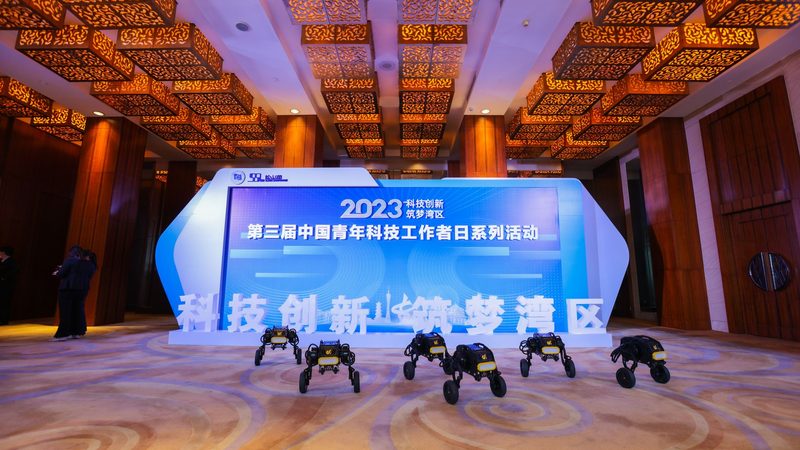 数据治理委员会主任委员职责解析：引领企业数据治理新航向
